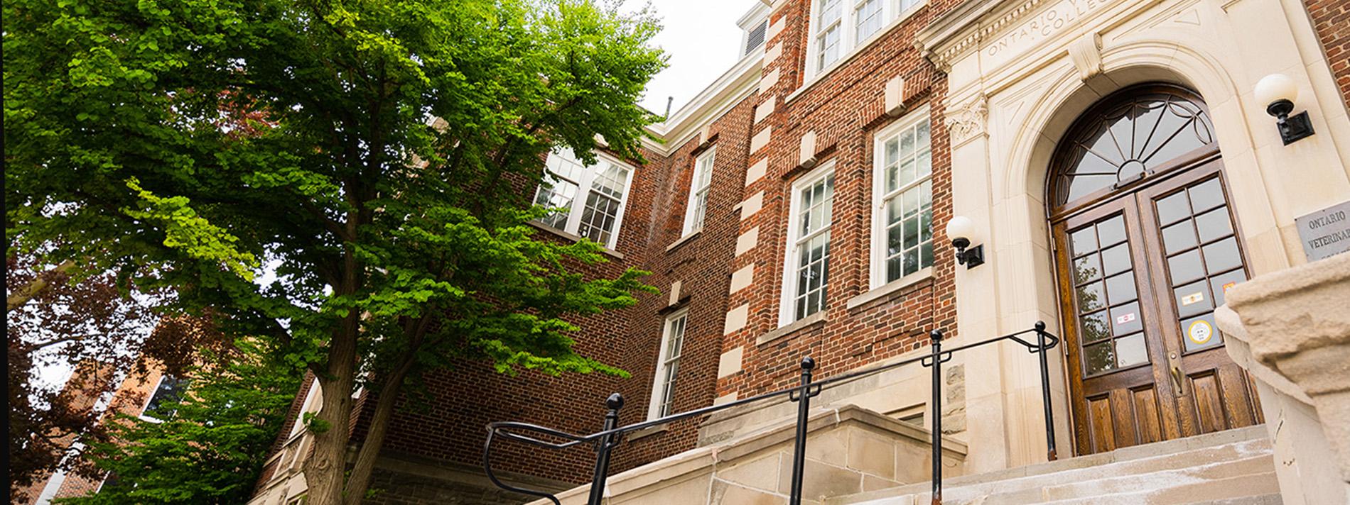 Ontario Veterinary College front steps