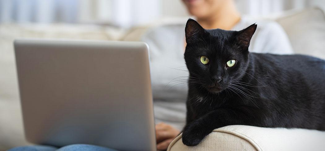 Woman sitting on a sofa with a cat by her side (iStock credit_hocus_focus)