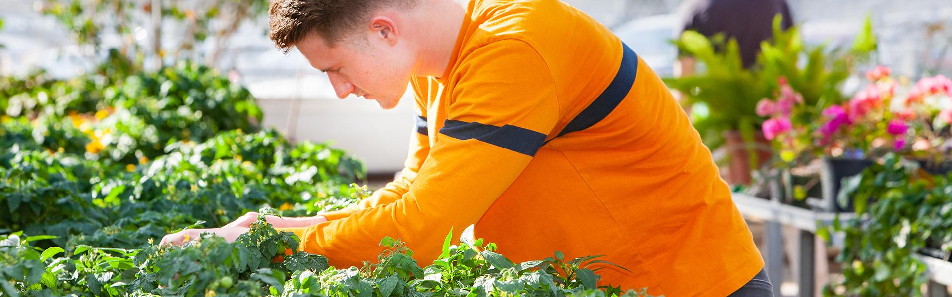 Crop Science Major