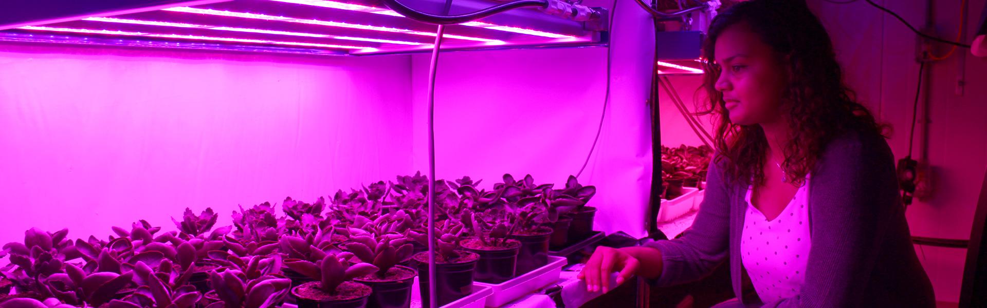 Plant Science major