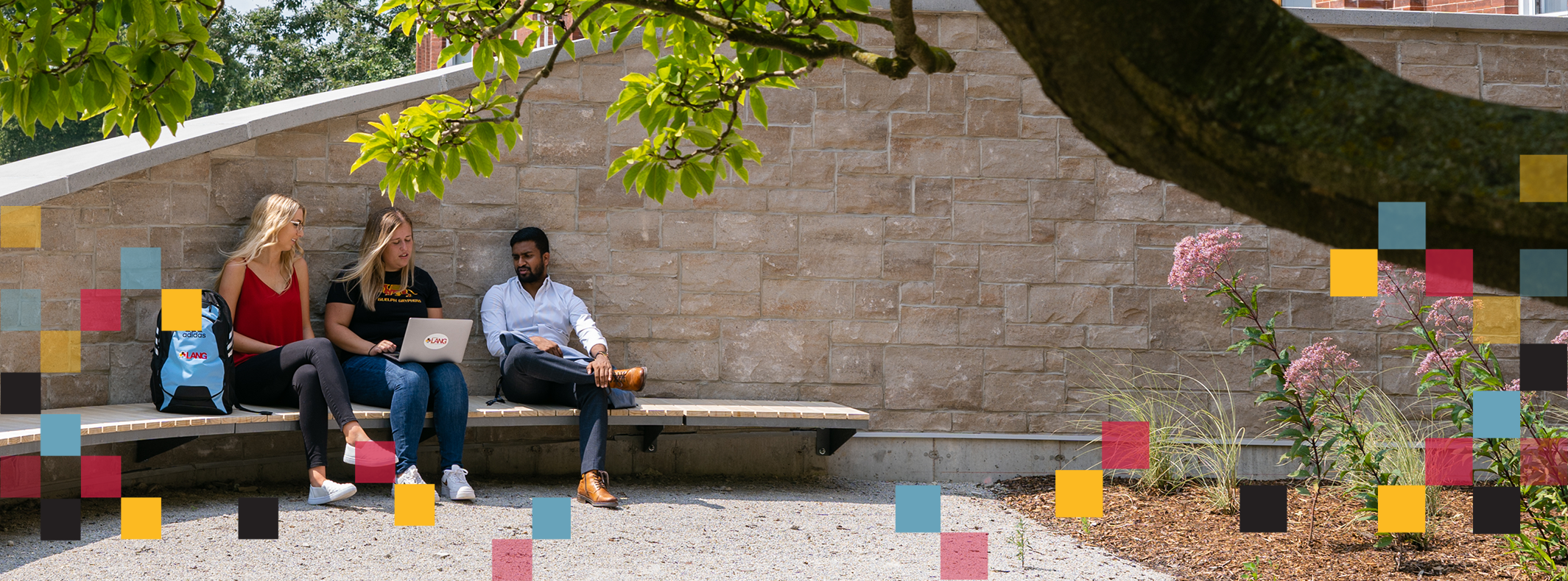 students outside studying together