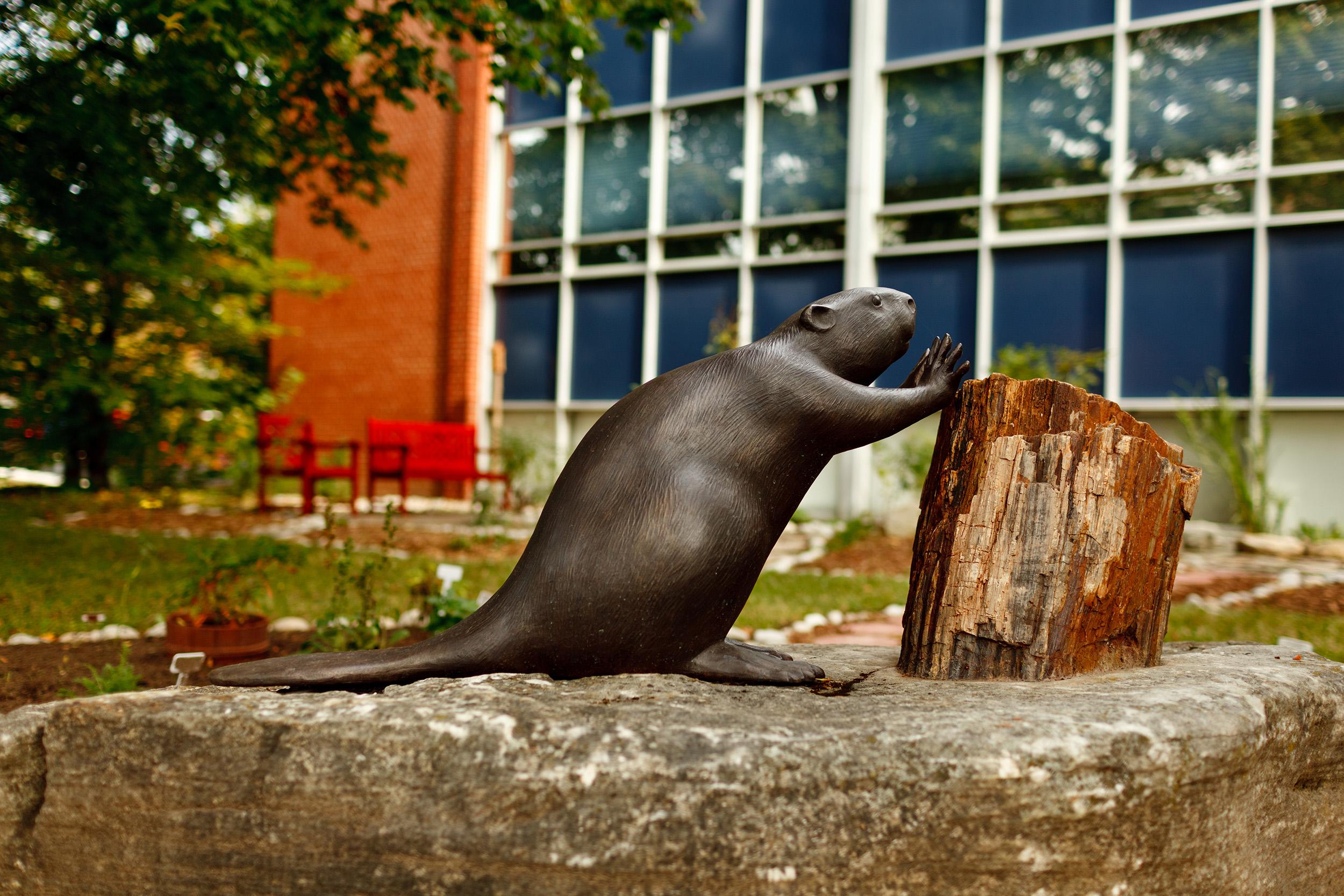 Beaver statue. Bronze.