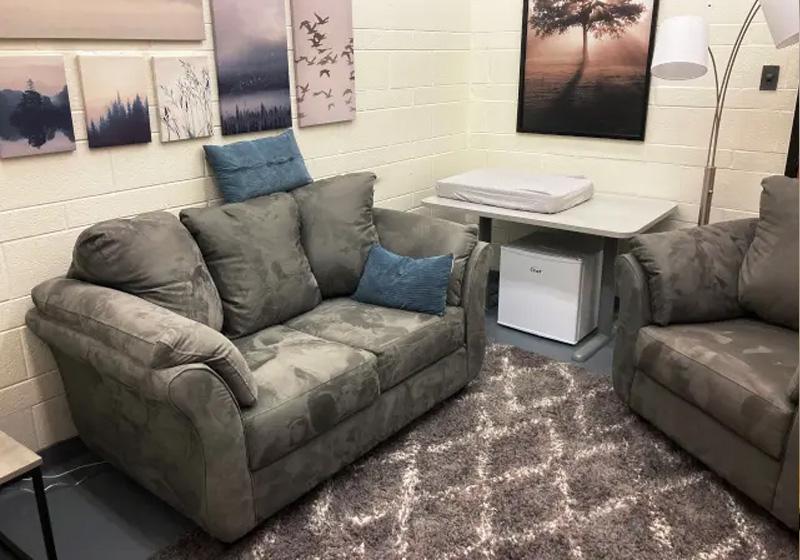 grey couches with pastel photos of the outdoors