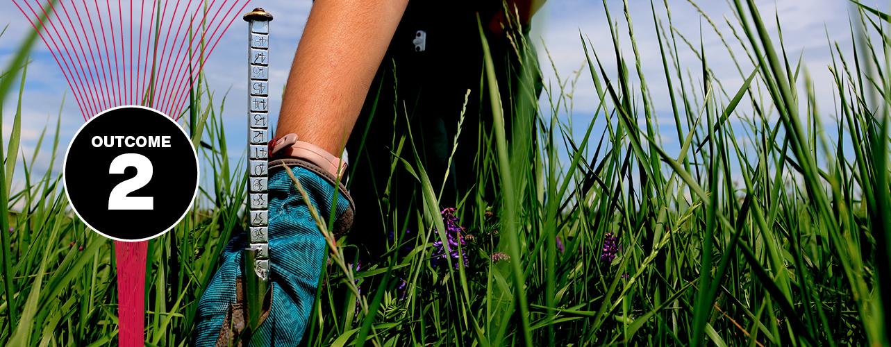 A hand wearing a gardening glove holds a small vertical measuring tool in the soil of a green field