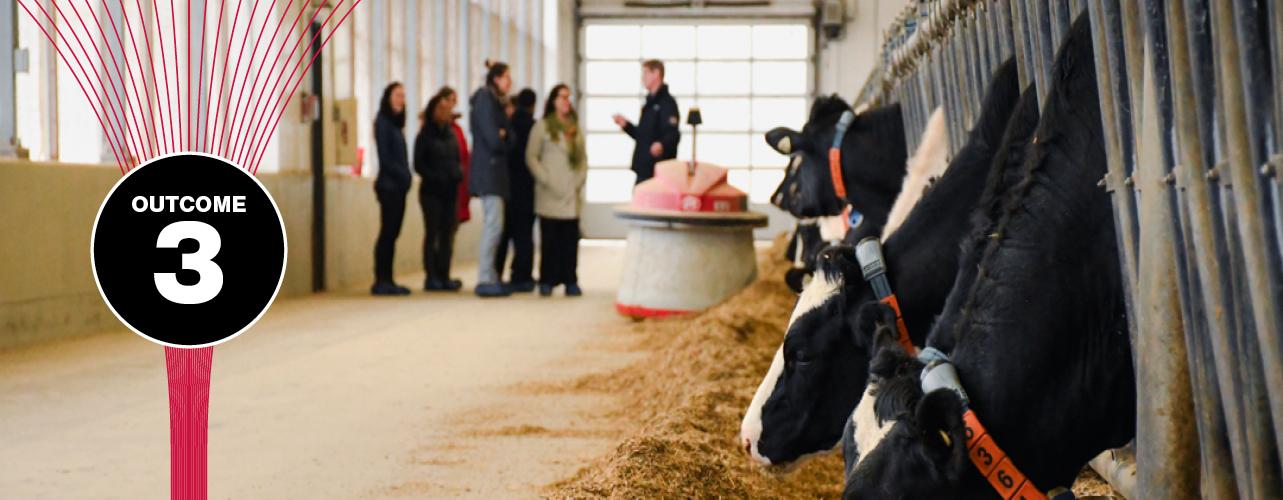 Inside a dairy barn, a row of cows eat from the floor while a robot travels down the row, pushing food closer to the animals. A tour group is visible in the background.