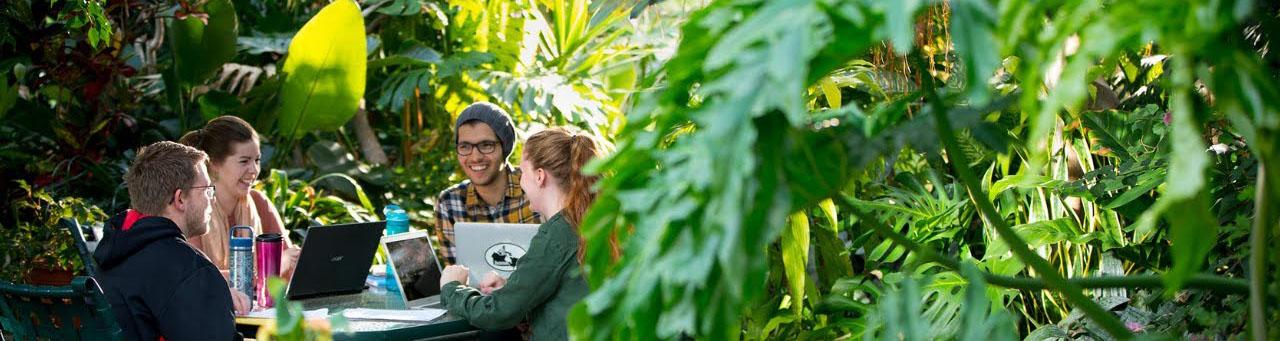 People sitting at a table in a tropical garden, enjoying the serene ambiance and lush greenery.