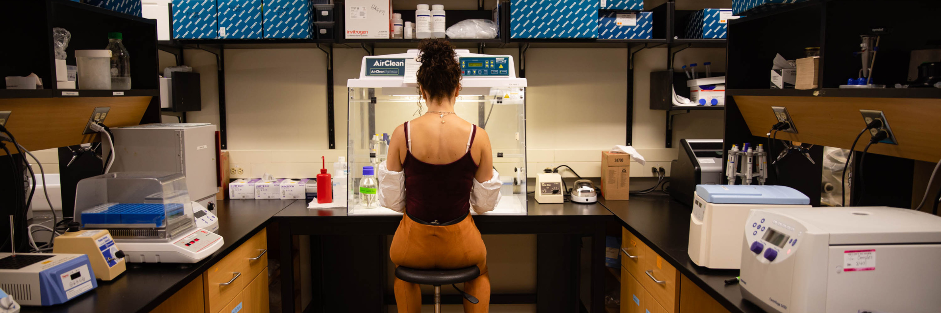 Student works in Centre for Biodiversity Genomics