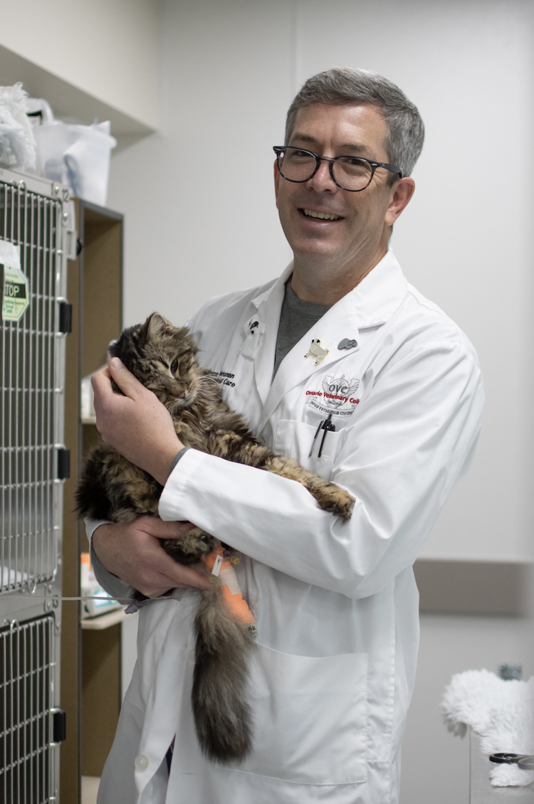 Dr. Shane Bateman, pictured in his white coat holding a cat from the OVC ICU.
