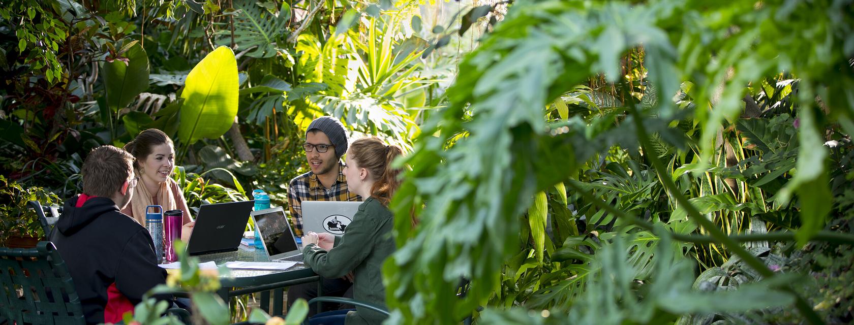 Students on campus