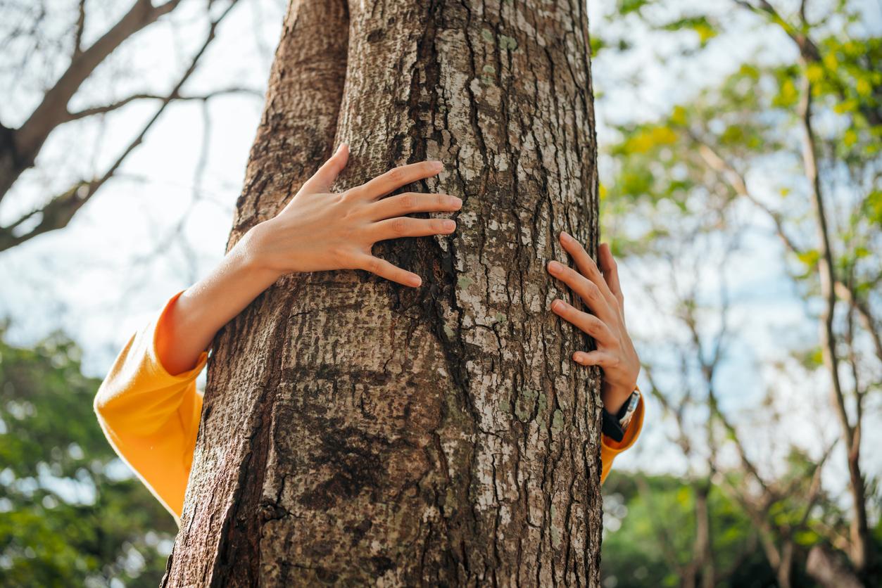 Small hands wrap around a tree trunk.