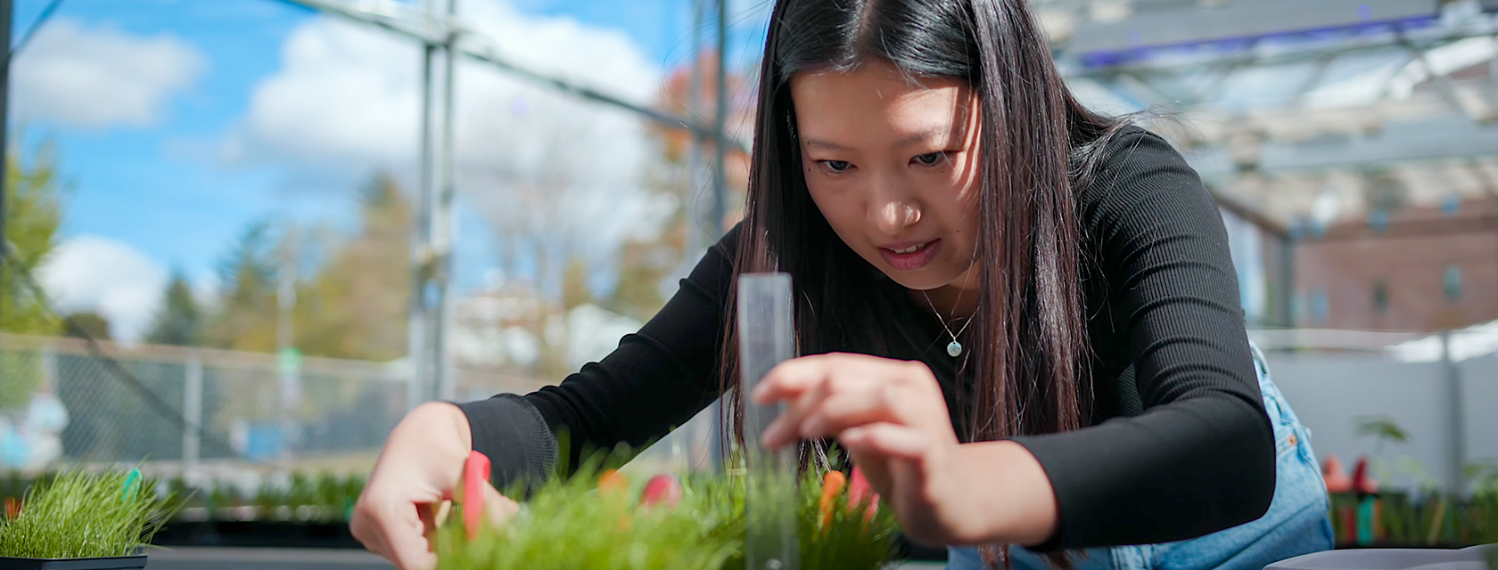 a student measuring the growth of a plant in a greenhouse