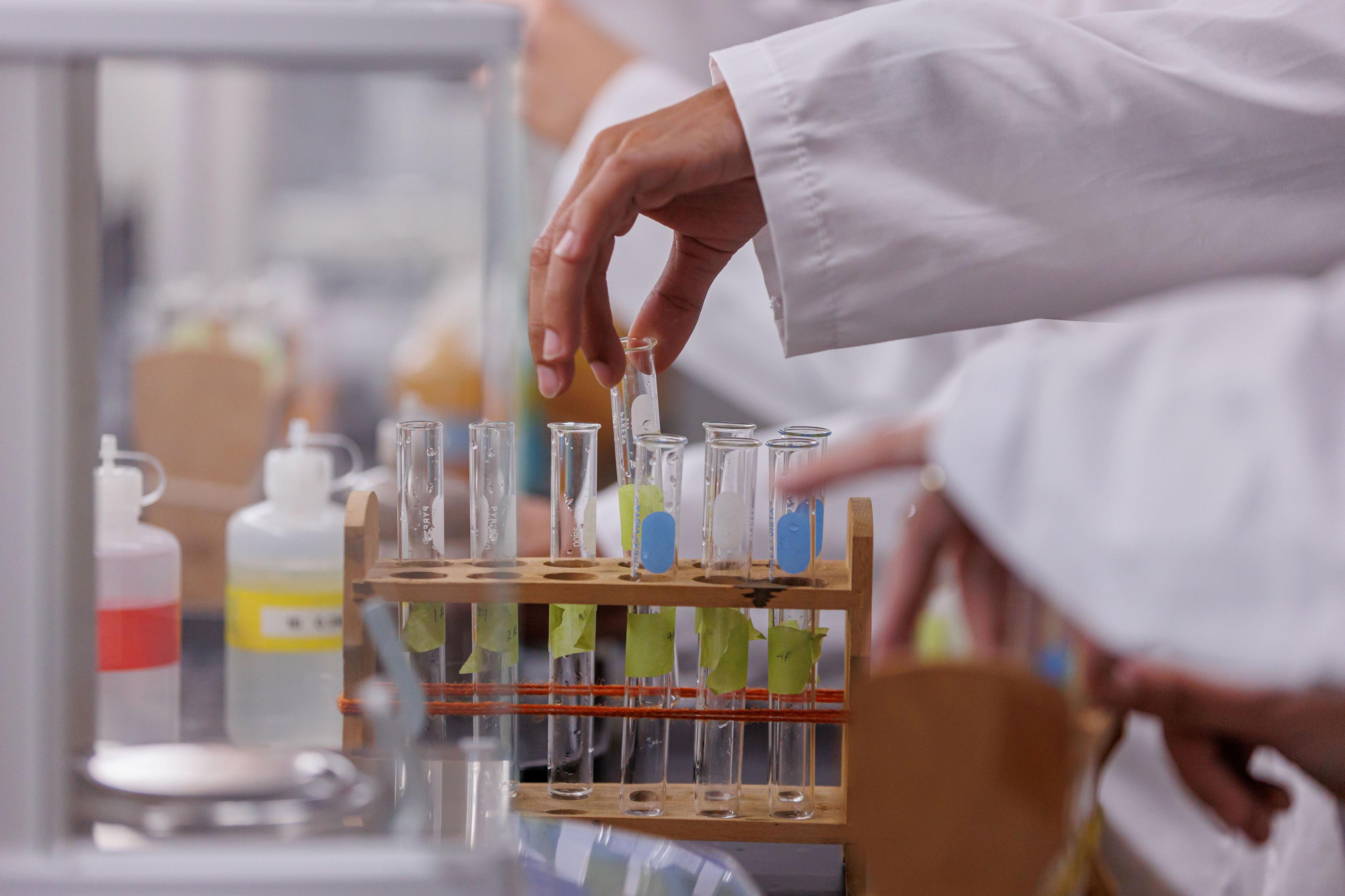 Student in a lab picking up a test tube.