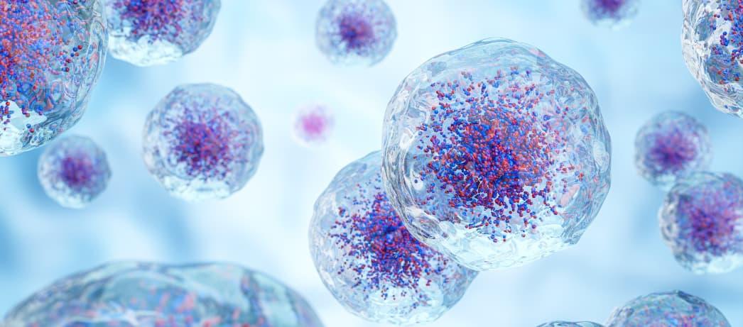 An illustration of cancer cells