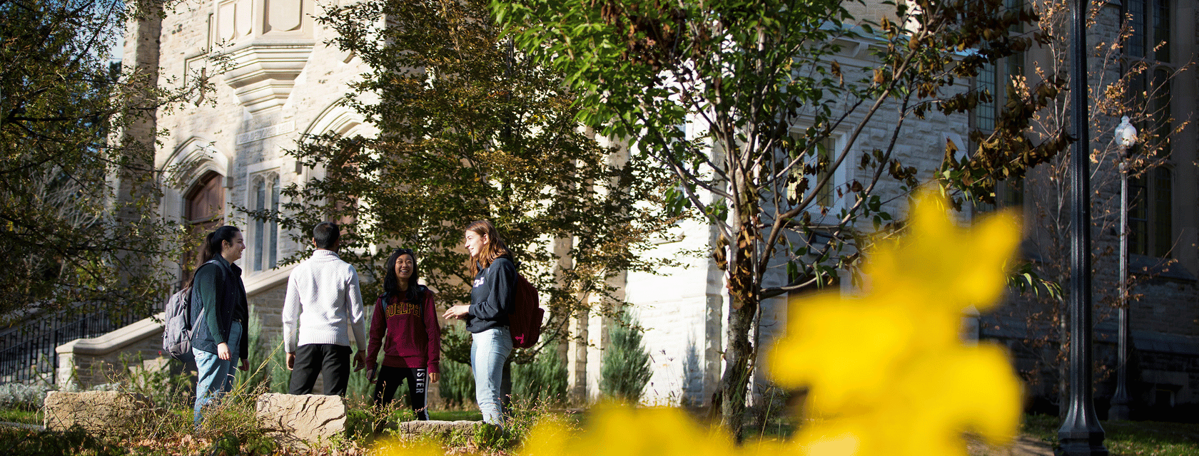 A group of students chatting outside at the University of Guelph campus.