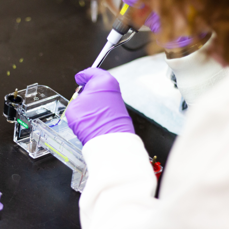 Student uses lab tools