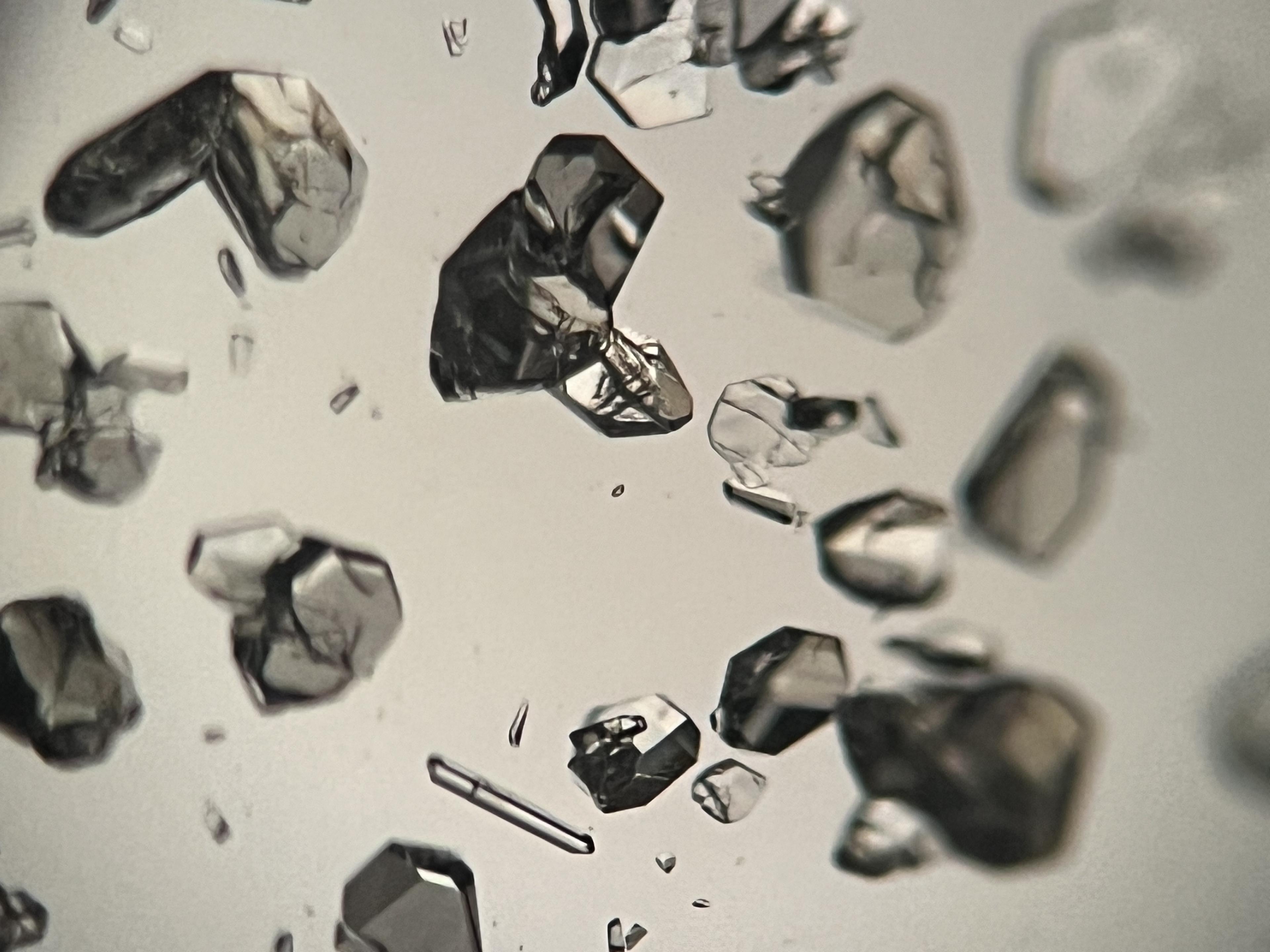 Small crystals under a microscope.