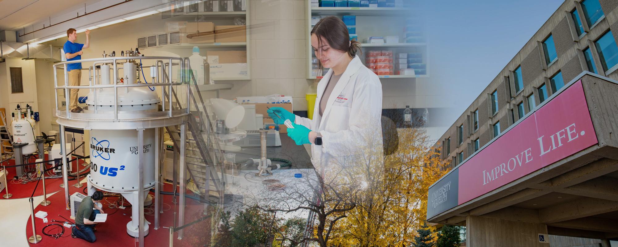 Composite image of features from the report, including NMR lab in lower left, Dr. Rozita Dara and a student using a computer upper left, a chemistry student in a lab, and the exterior of University Centre.