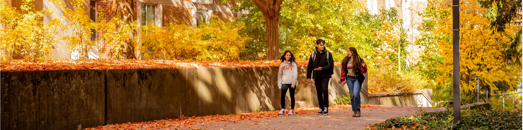 Three students walking along north campus path