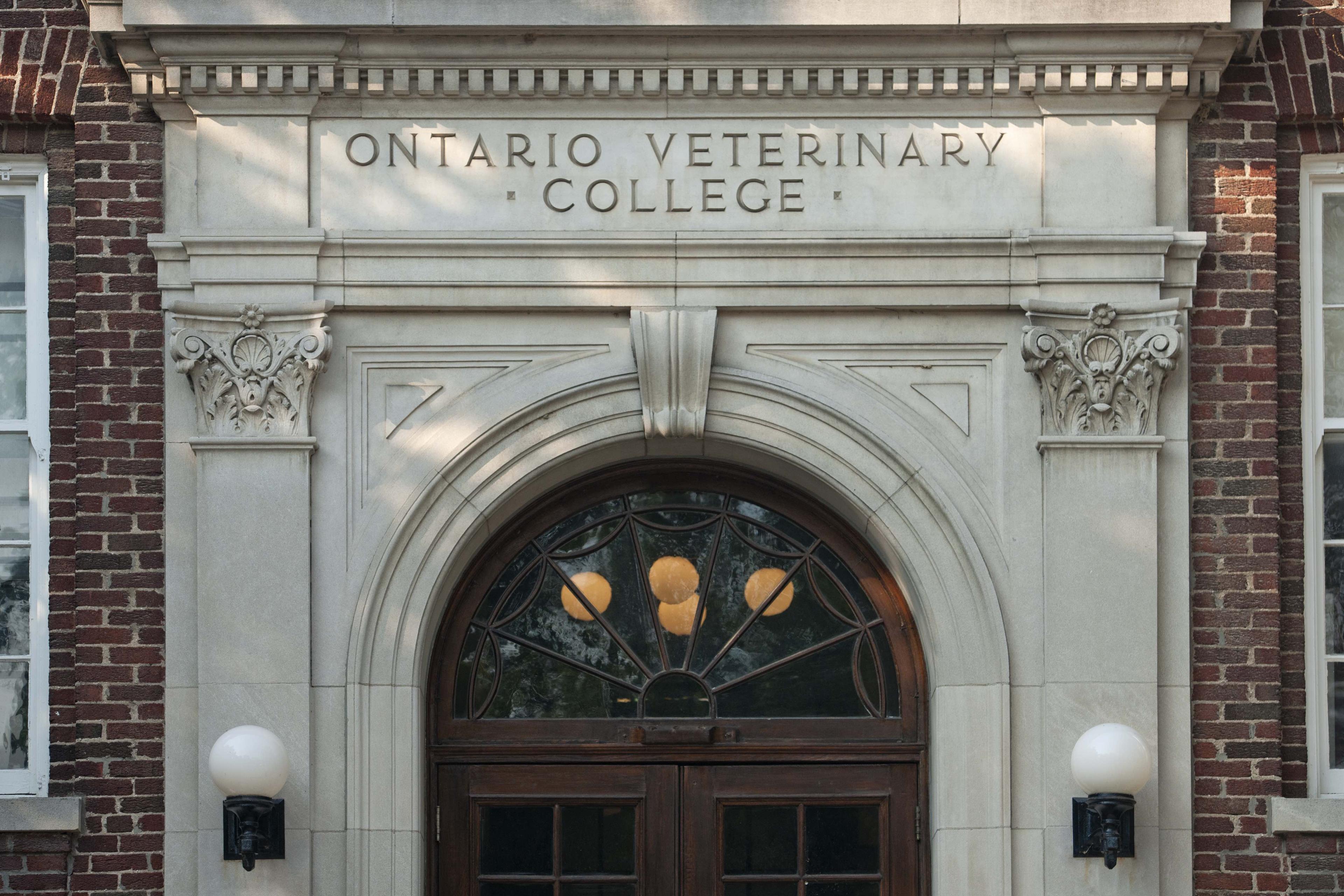 OVC exterior front window