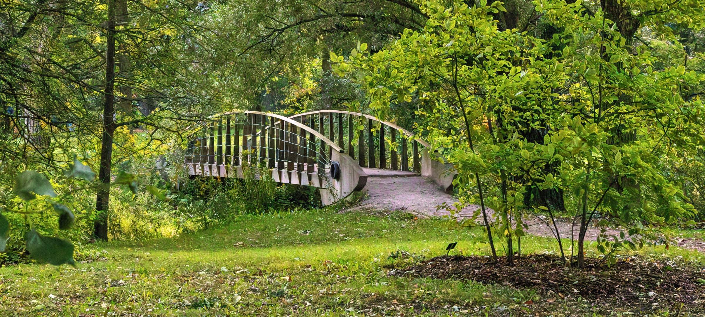Arboretum Bridge