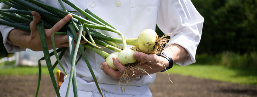 Chef holding onion bunch.