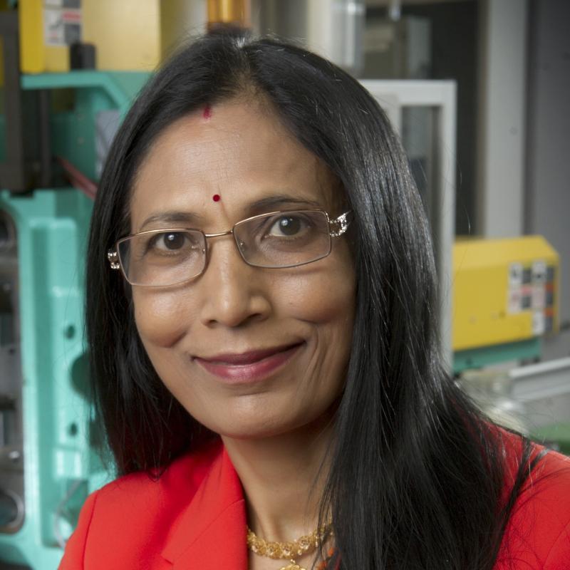 Manjusri Misra headshot photo