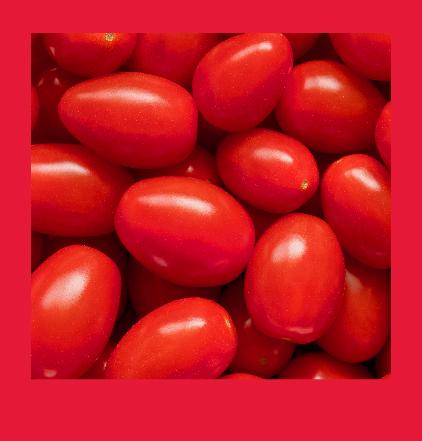 A pile of tomatoes surrounded by Reynolds Red.