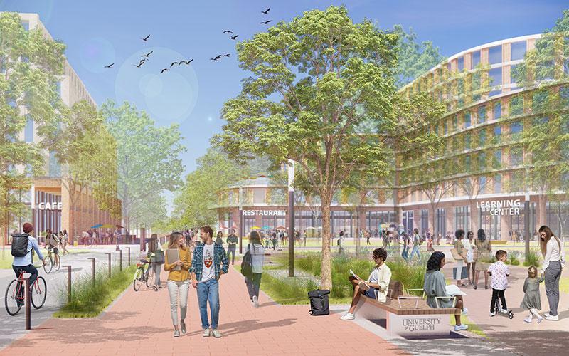 Conceptual Illustration of the Re-imagined Cow Path Looking West
