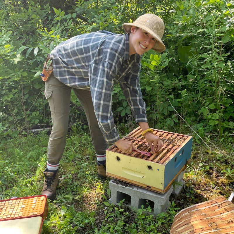 Kathryn Knowles working with bee hive boxes while doing honey bee research at the U of G.