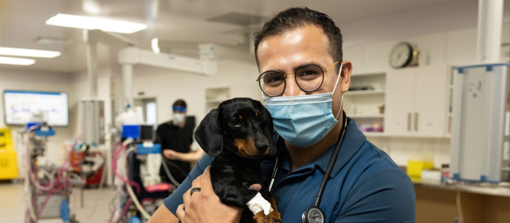 man and dog in hospital