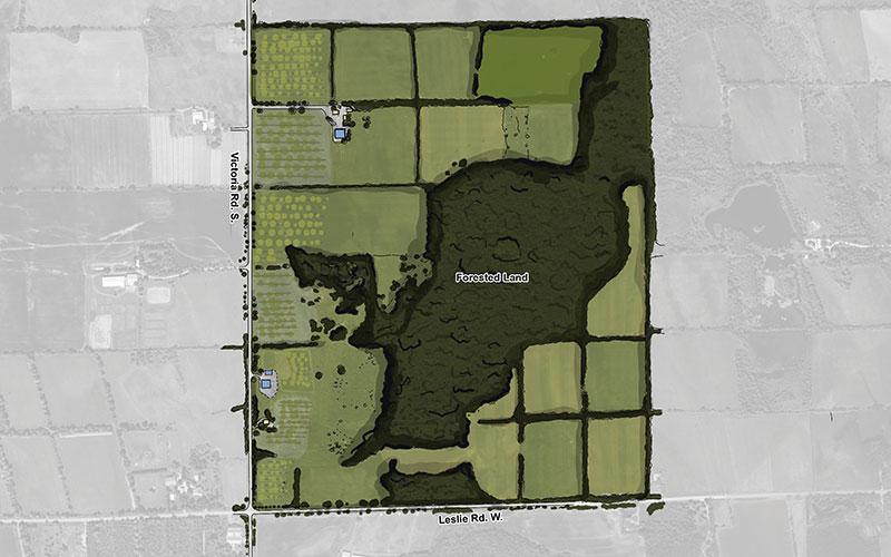 Puslinch Farm Concept Plan Illustration by DIALOG
