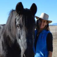 Woman in blue with a black horse.