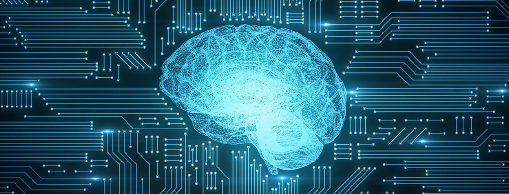 Neuroscience