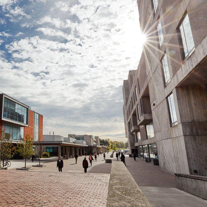Wingard walk at midday on the U of G Campus 