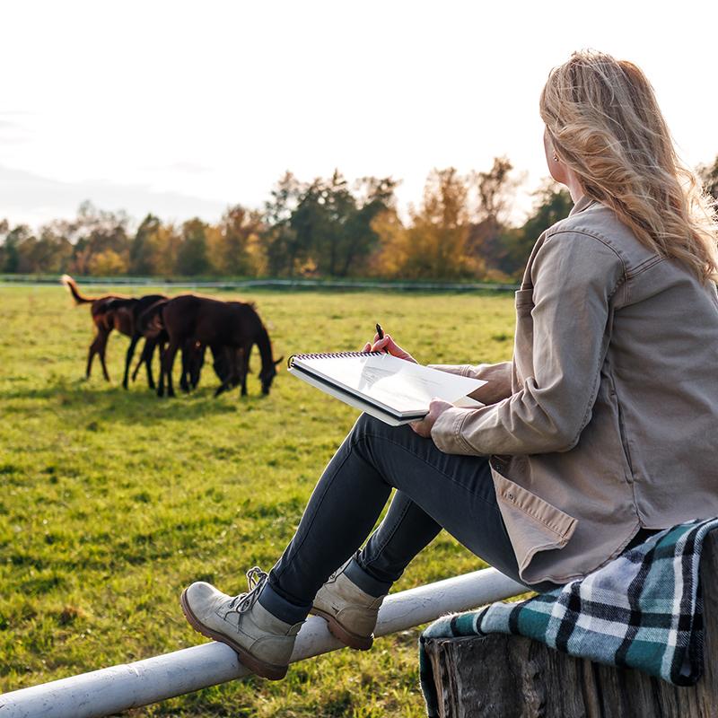 Girl with notepad watching horses in a field.