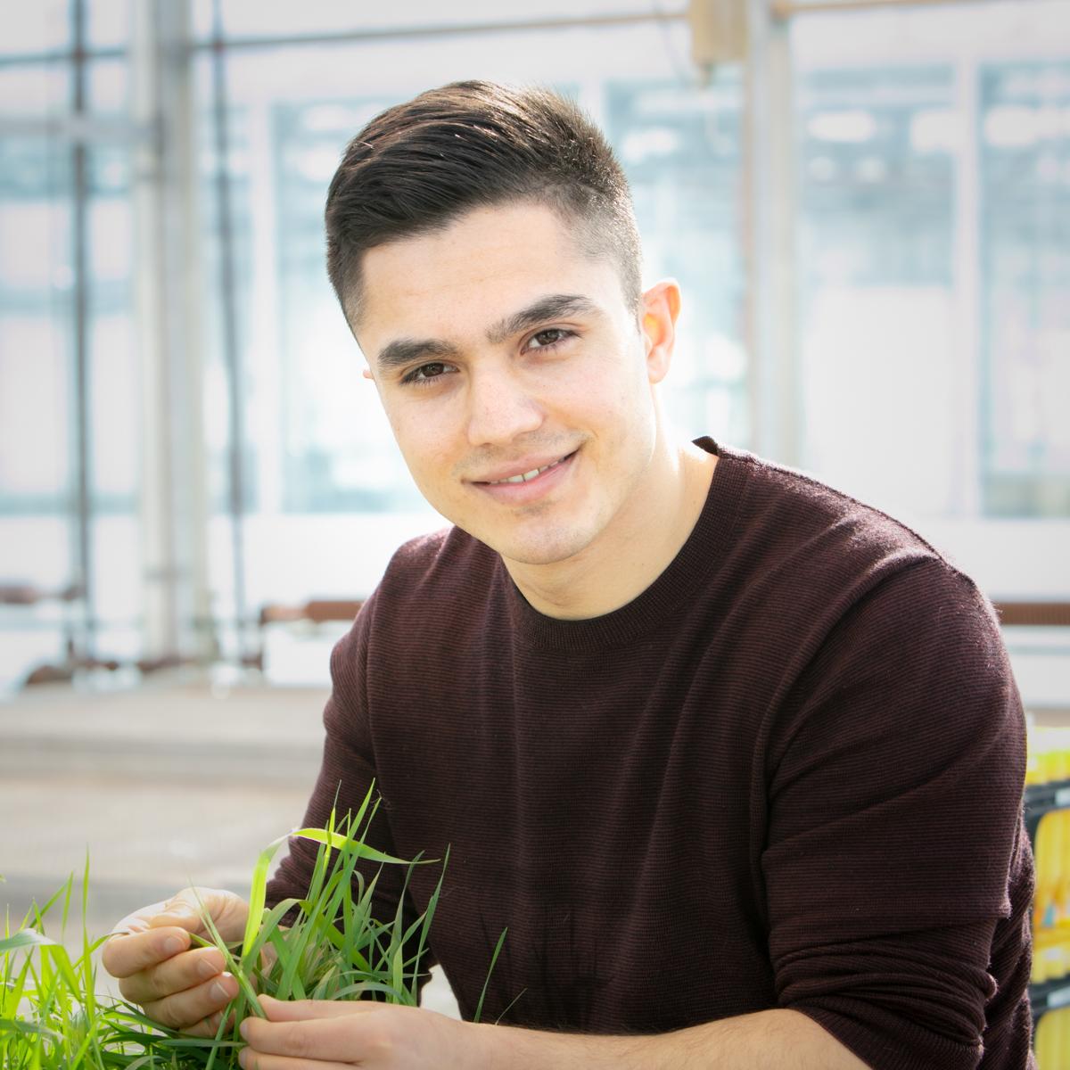 ADC research associate Jaber Husiny clutches a handful of long green grass