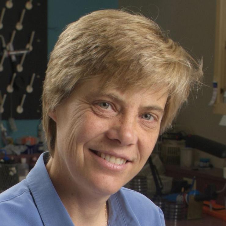 Jan Sargeant headshot