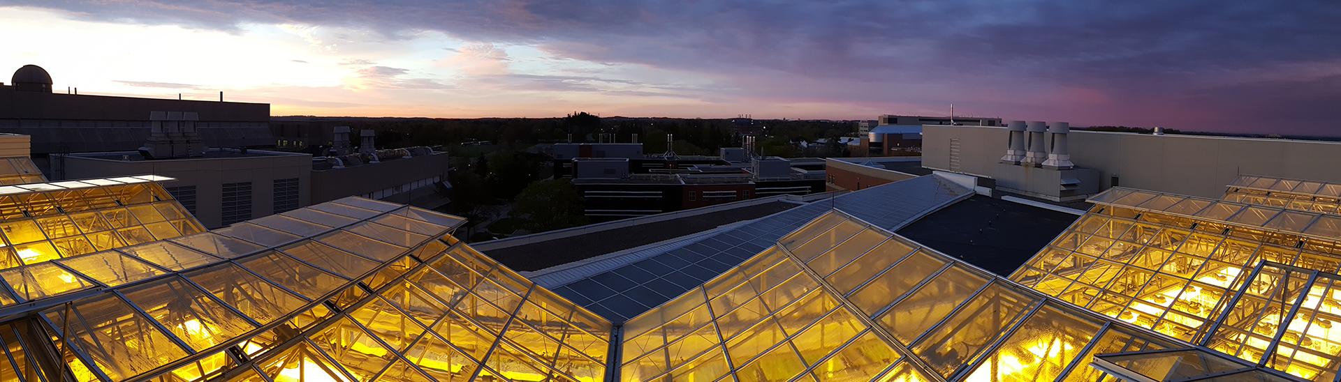 Phytotron greenhouses at night with the lights on