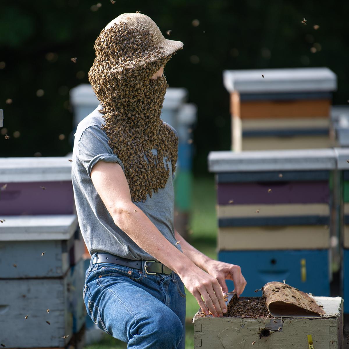 A person with a face covered in bees