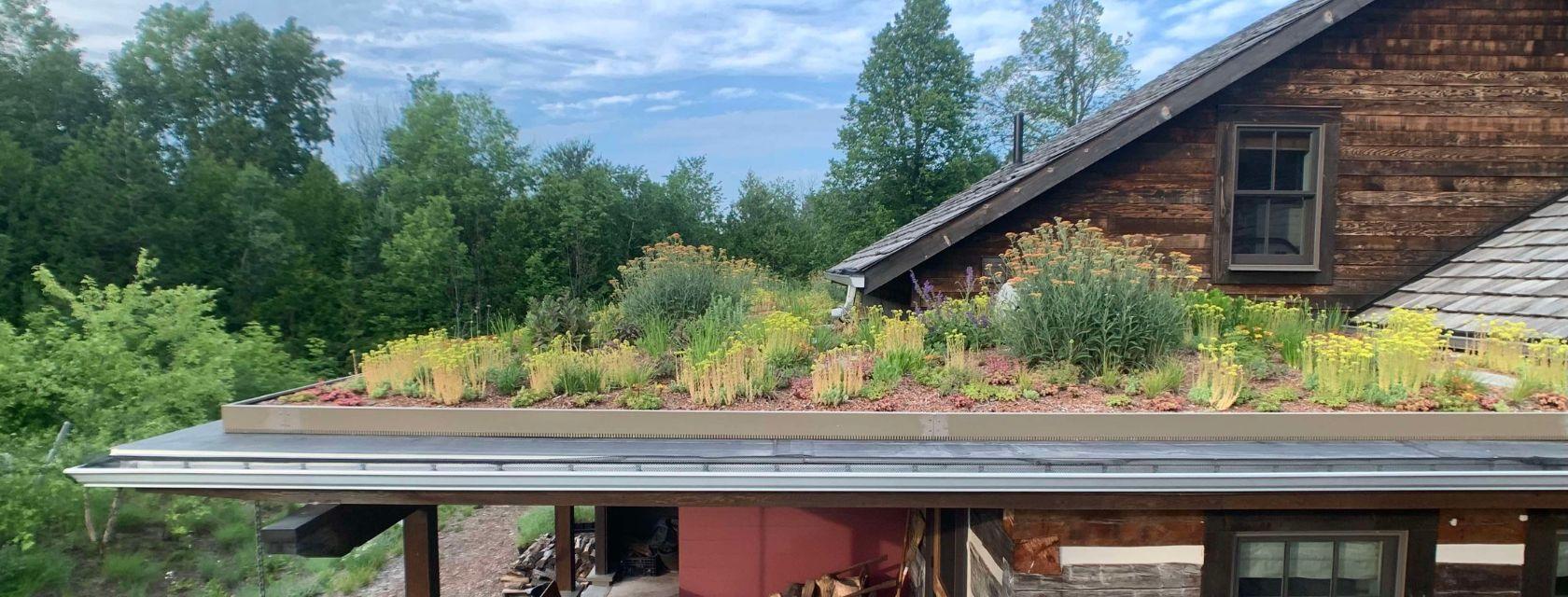 Green roof created by Zinco