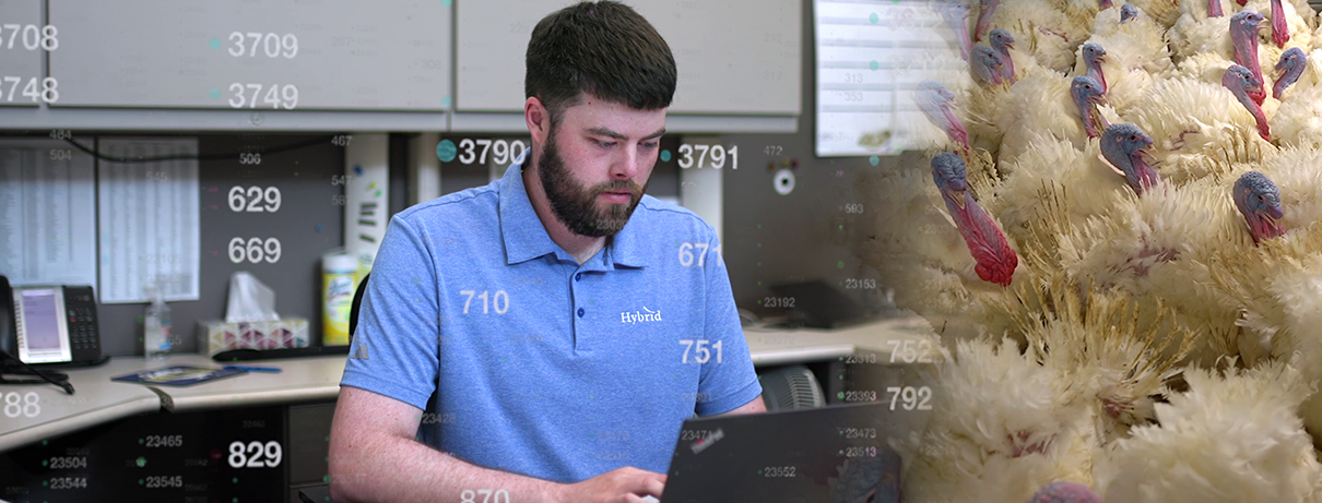 ryley on a laptop with numbers on screen. an image of turkeys is overlayed ontop of the photo of ryley