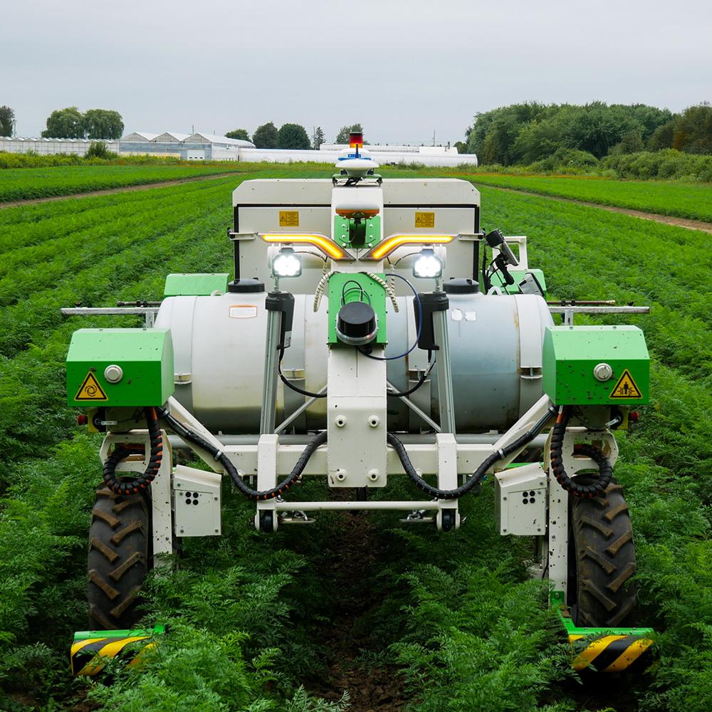 A green robot in a crop field