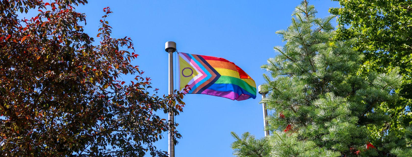 Pride Flag