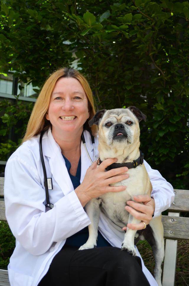 A veterinarian wearing a white coat sitting outside holding a small tan-coloured dog on her lap.