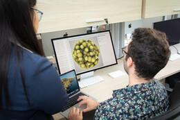 two people conferring over a computer screen