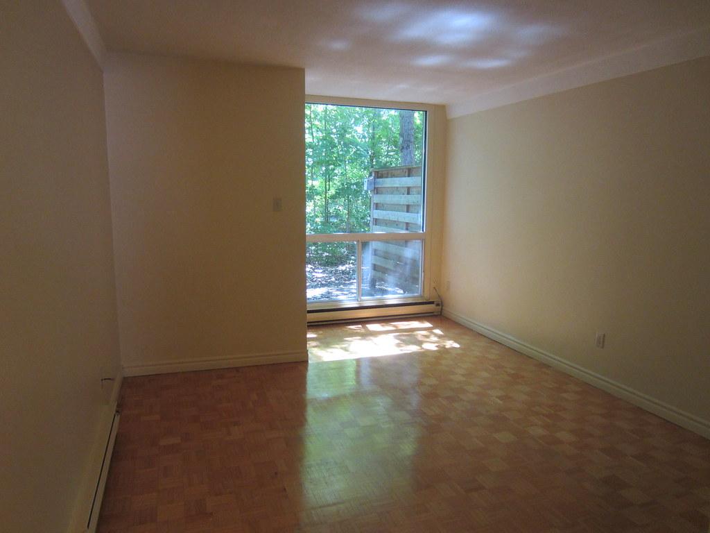 Living Room Window