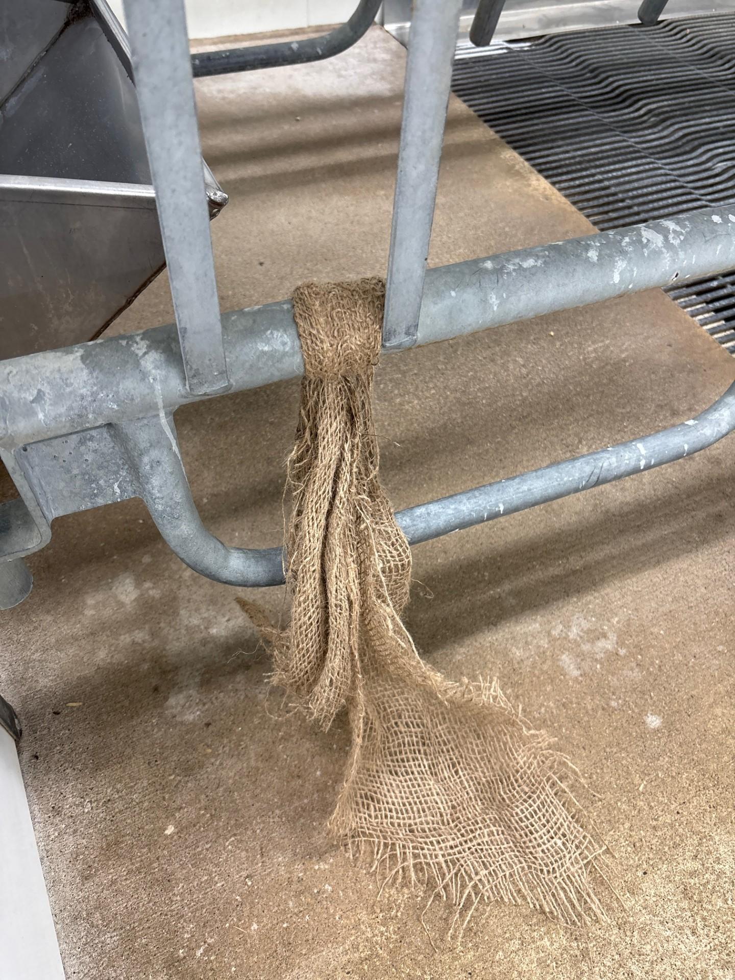 Shredded burlap sacks are provided to farrowing sows to support natural nest-building behaviours.