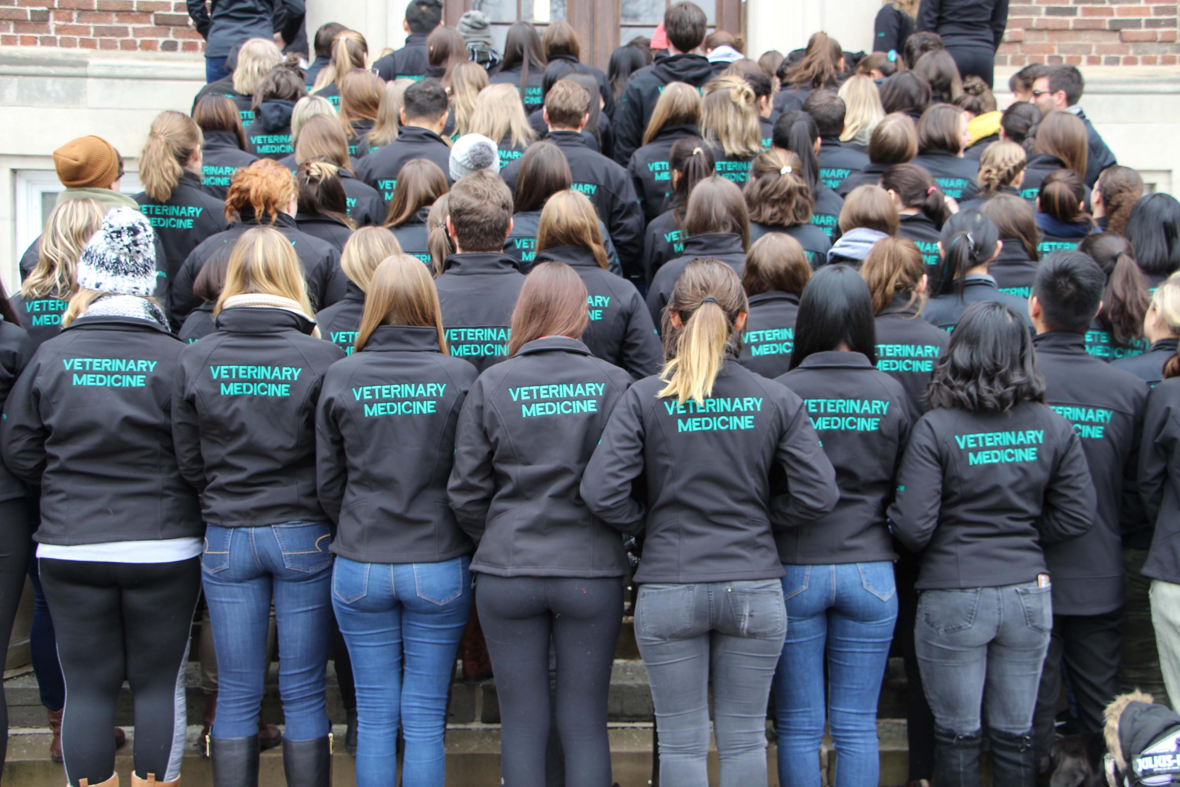 OVC students showing off the back of their matching jackets that read Veterinary Medicine