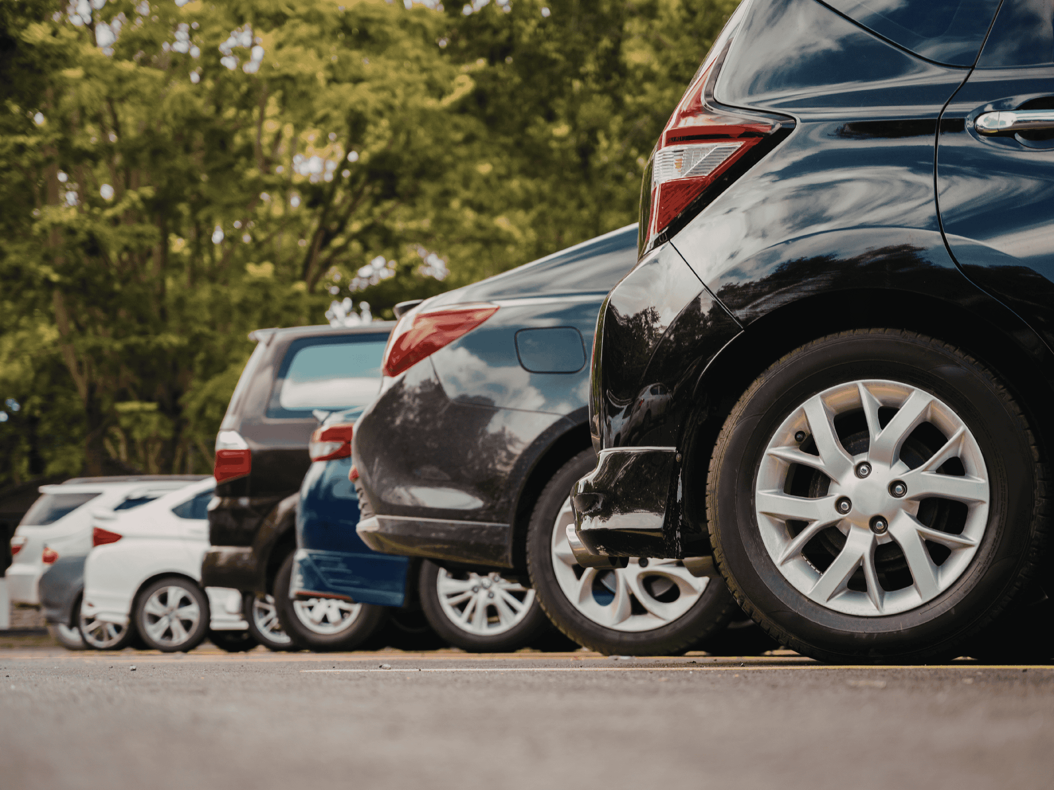 Multiple cars parked in a parking lot surrounded by green trees