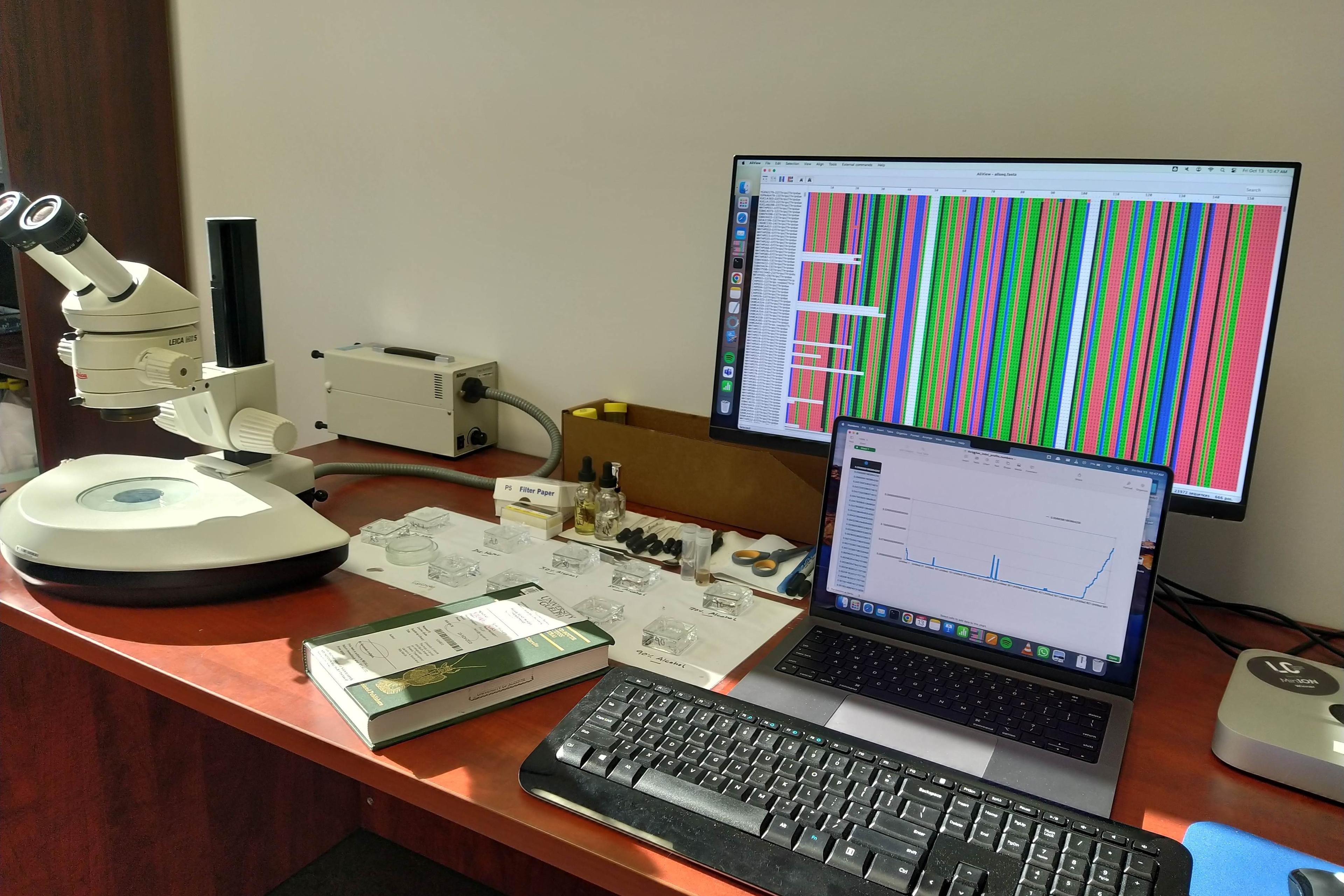 Data calculated on screen whilst lab research is on a desk. A microscope is shown